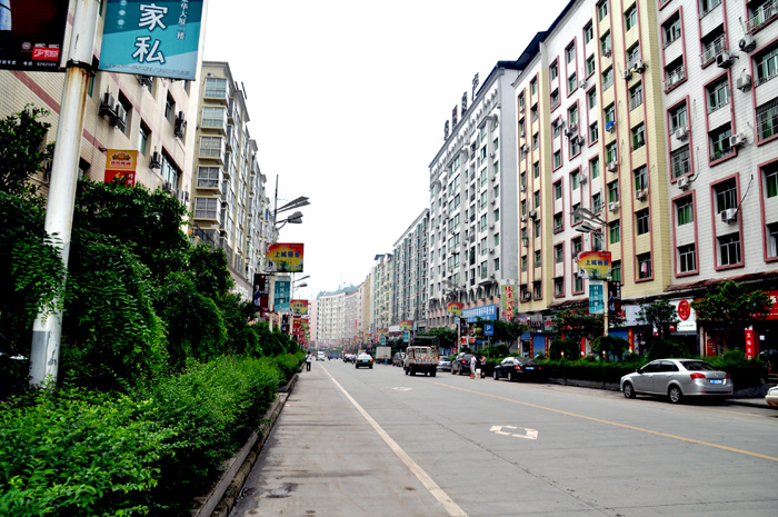 DSC_0008.jpg