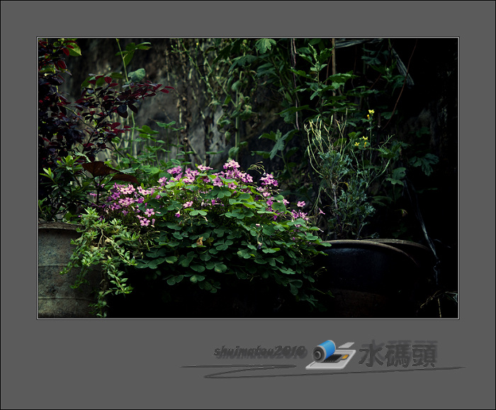 DSC03715.jpg