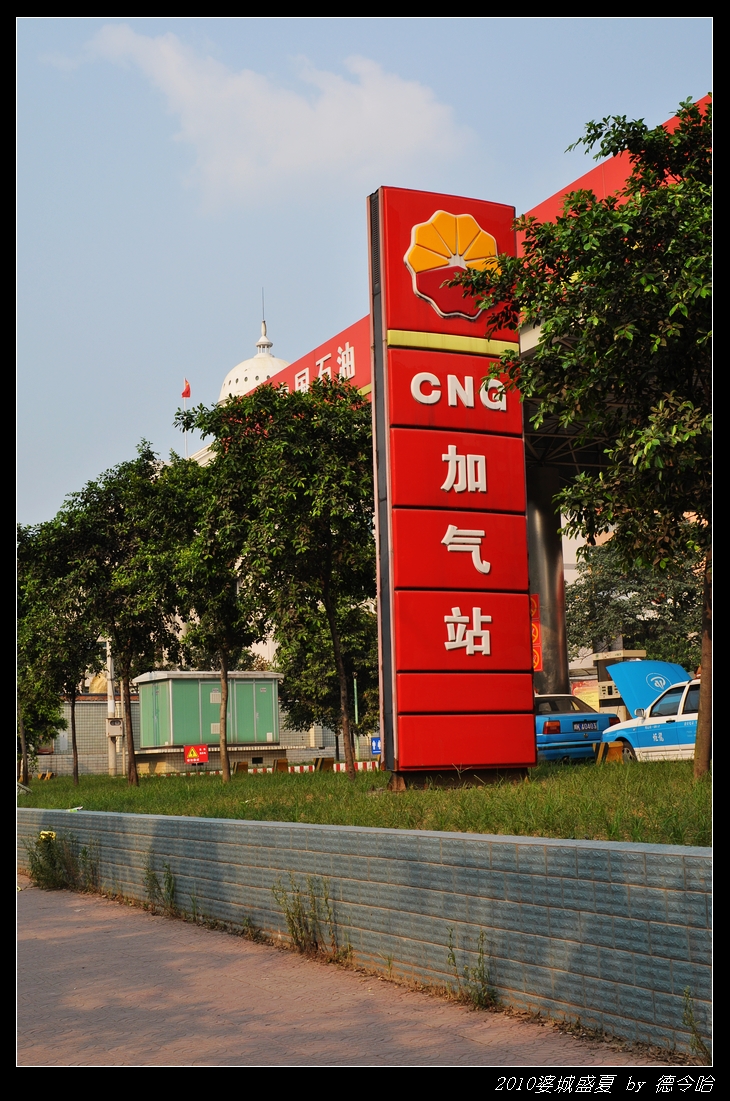 nEO_IMG_DSC_3782.jpg