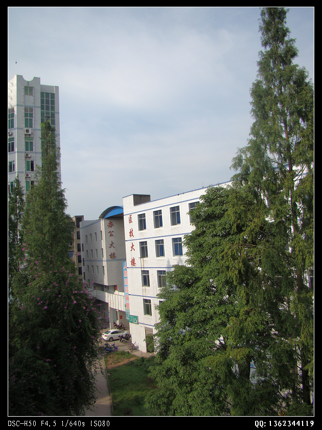 DSC00467.jpg