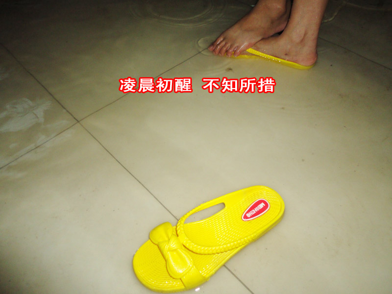 ϴŷ2 .jpg
