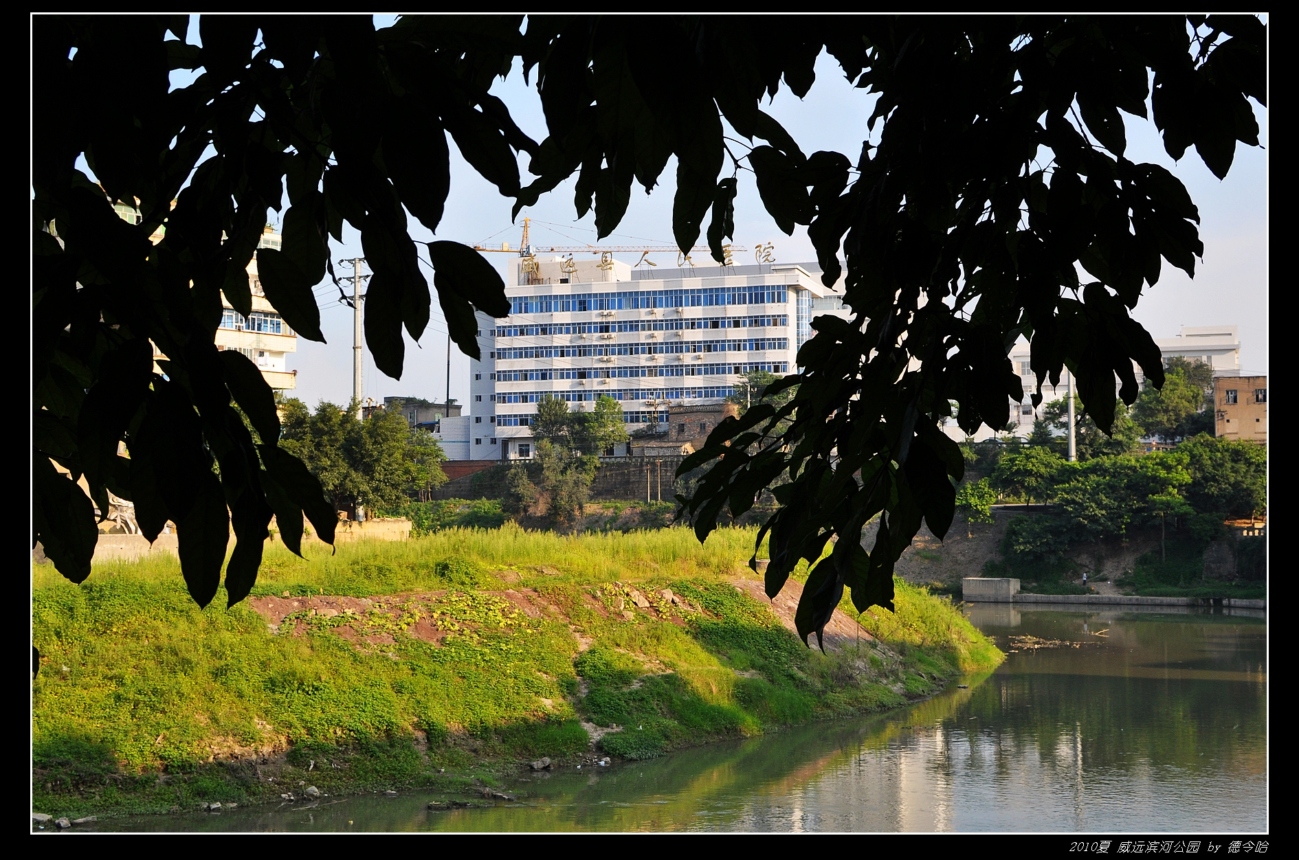 nEO_IMG_DSC_4113.jpg