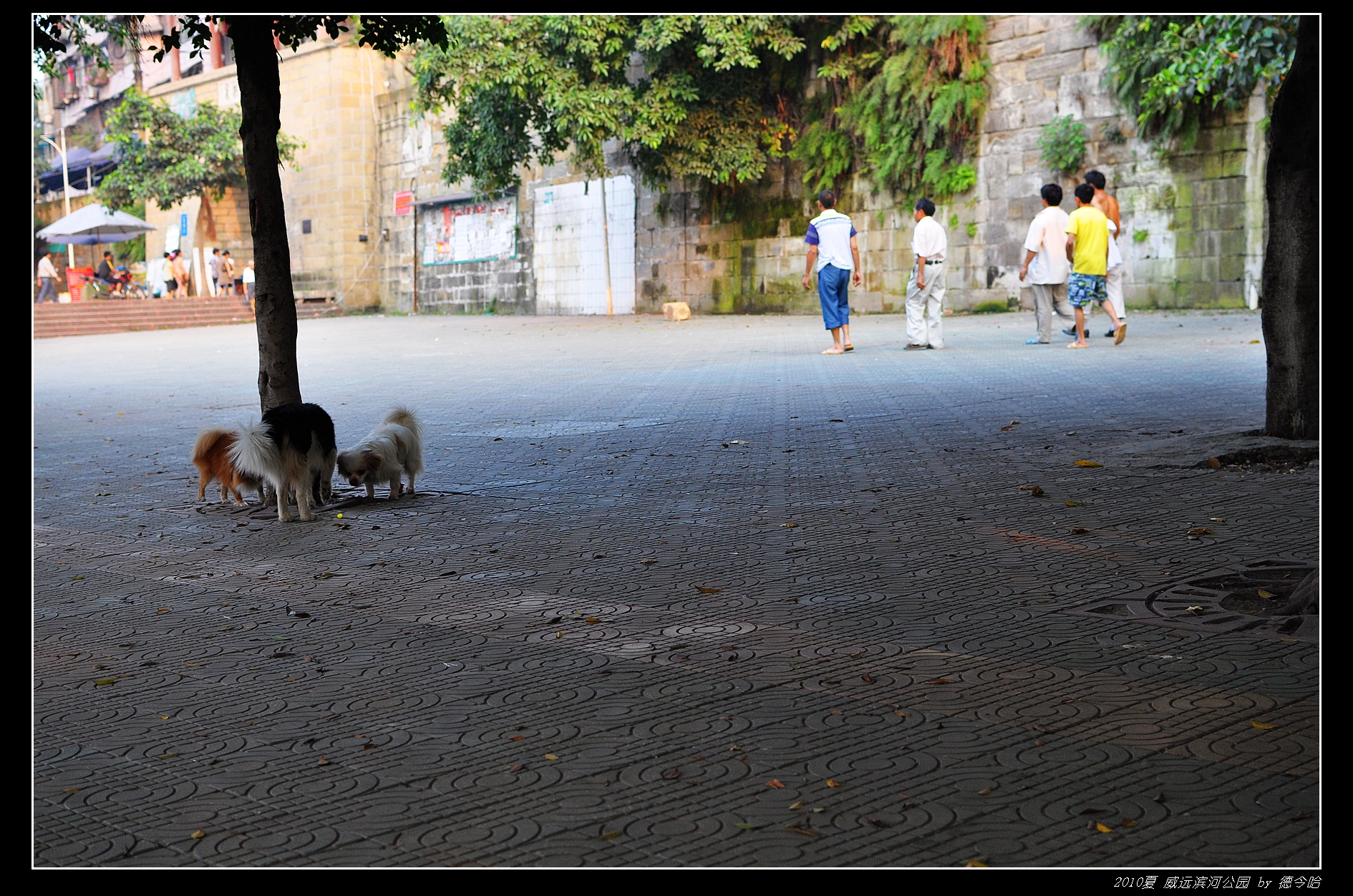 nEO_IMG_DSC_3854.jpg