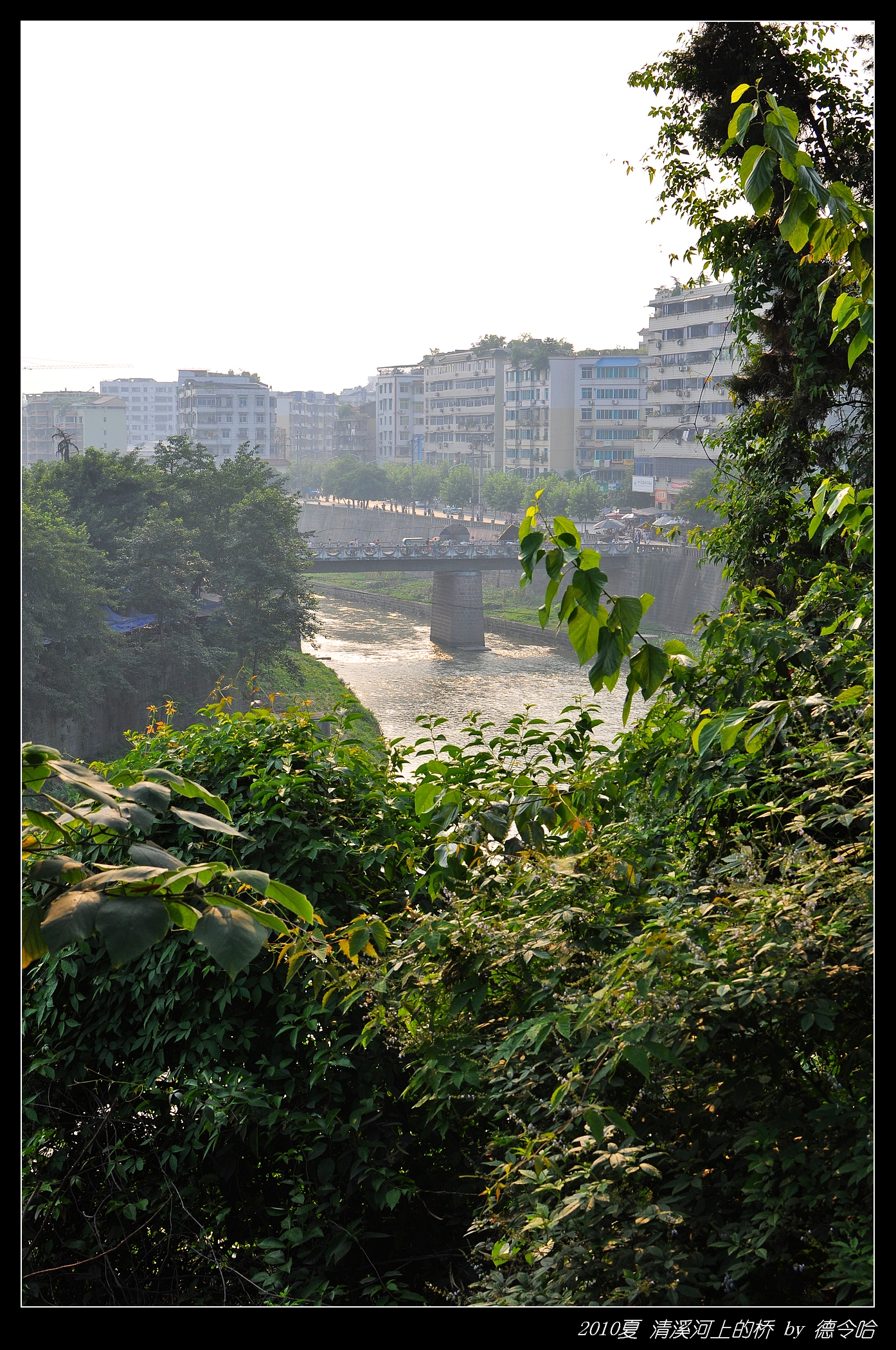 nEO_IMG_DSC_3527.jpg