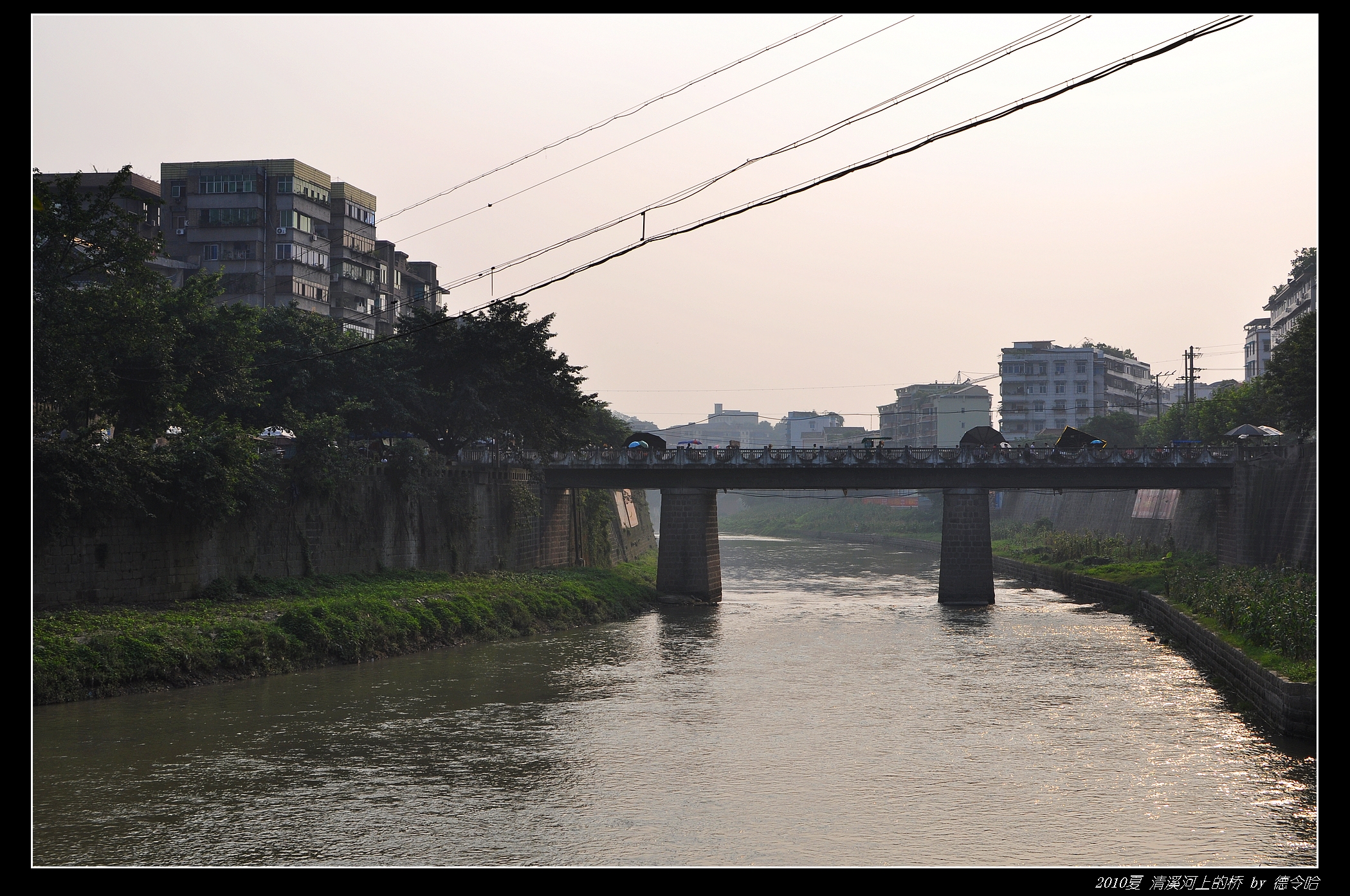 nEO_IMG_DSC_3531.jpg