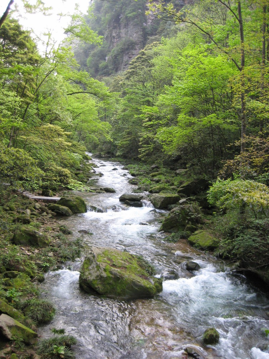 200942615235156009.jpg