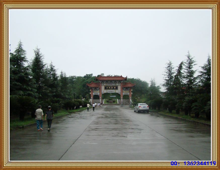 DSC00488.jpg