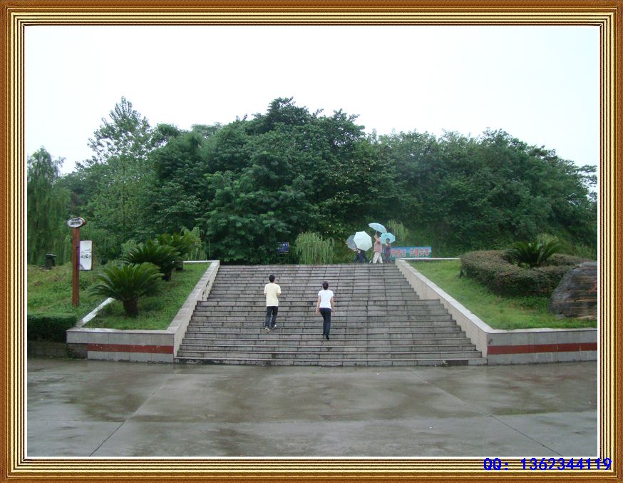 DSC00495.jpg