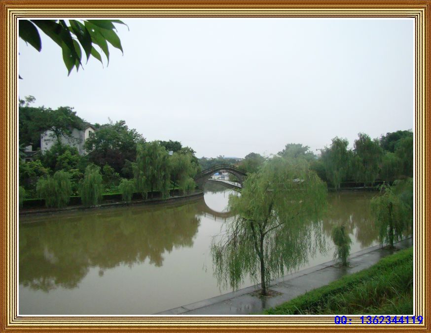 DSC00510.jpg