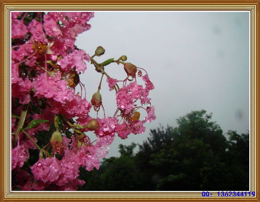 DSC00512.jpg