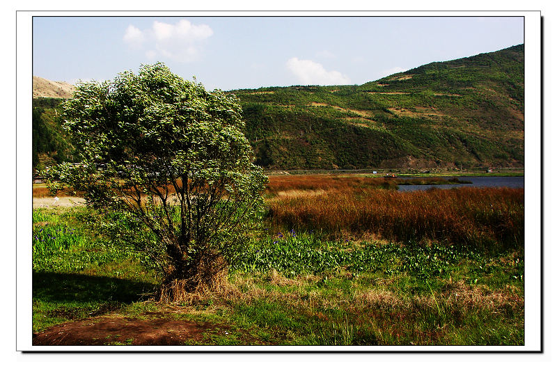 ڳݺ09.jpg