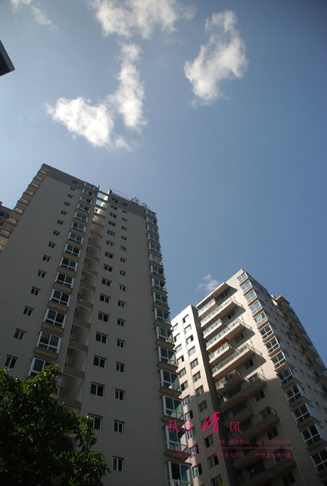 DSC_0095.jpg