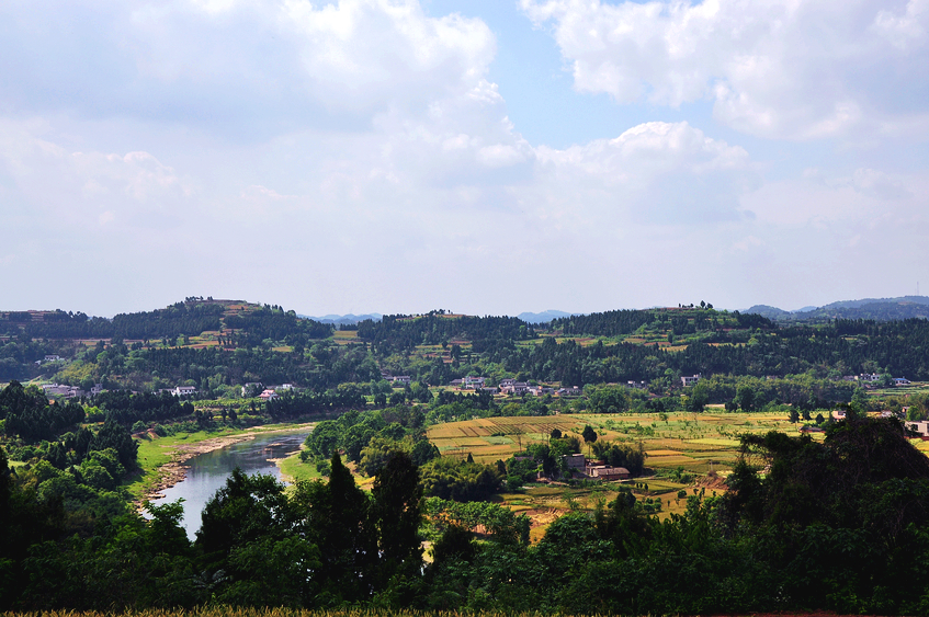 DSC_0013.JPG