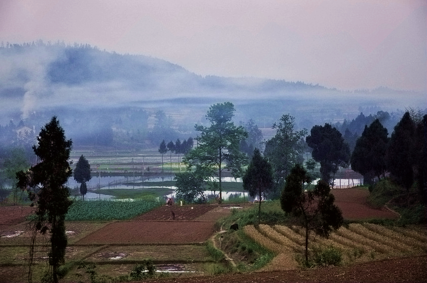 DSC_0332.jpg