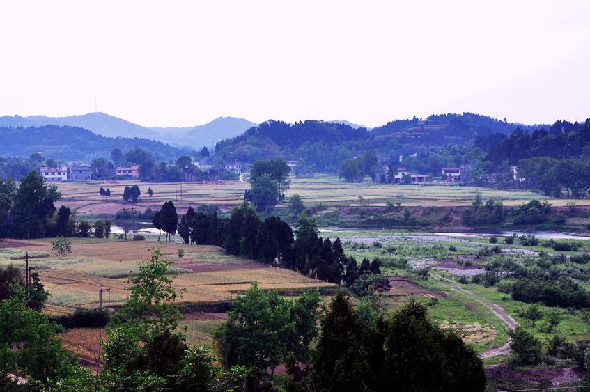 DSC_0197.JPG