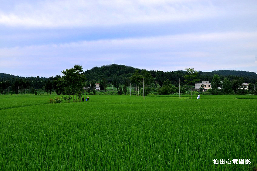 DSC_0220.jpg