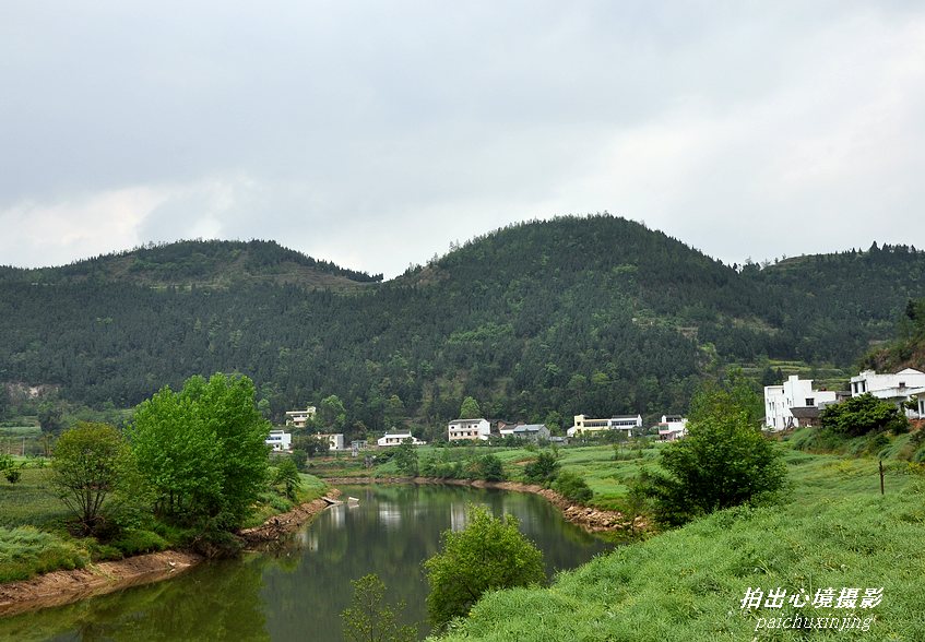 DSC_0006_Ӱ_1.jpg