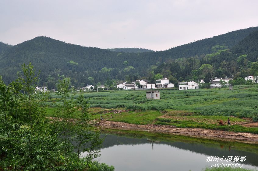 DSC_0031_Ӱ_1.jpg