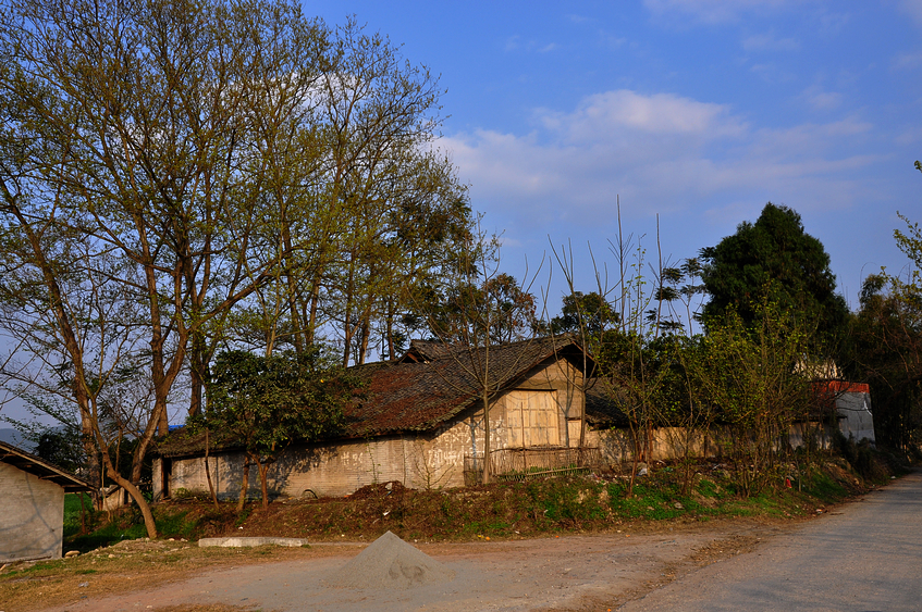 DSC_0745.JPG