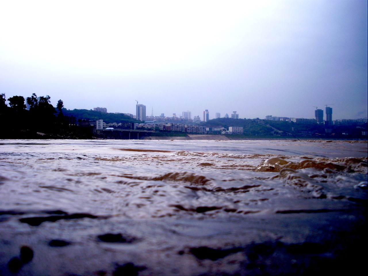 P8250031_.jpg
