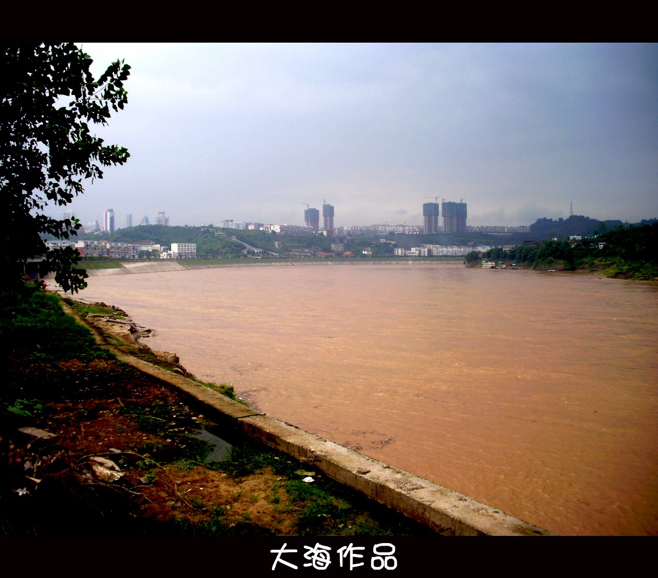 P8250012_.jpg