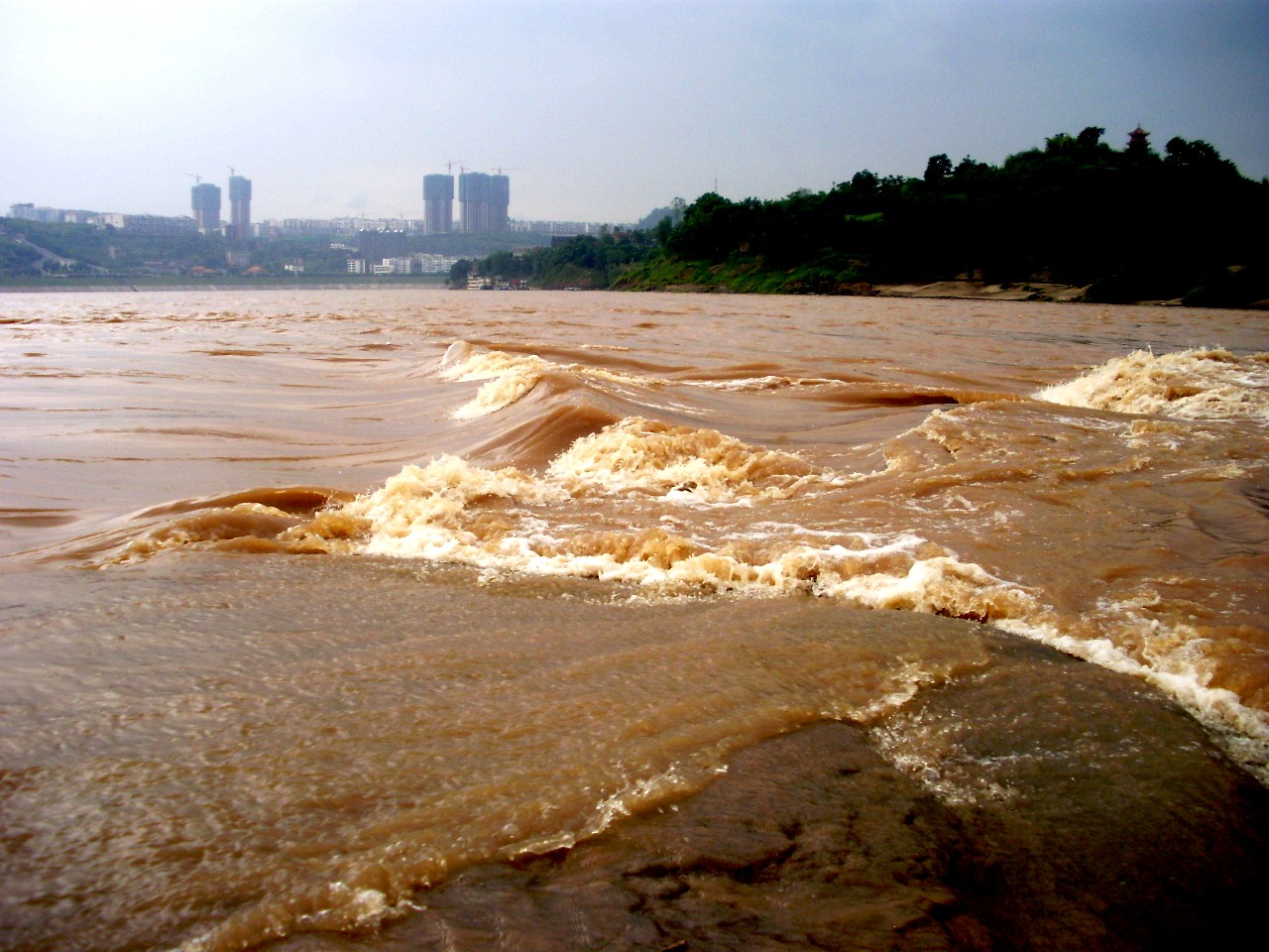 P8250034_.jpg
