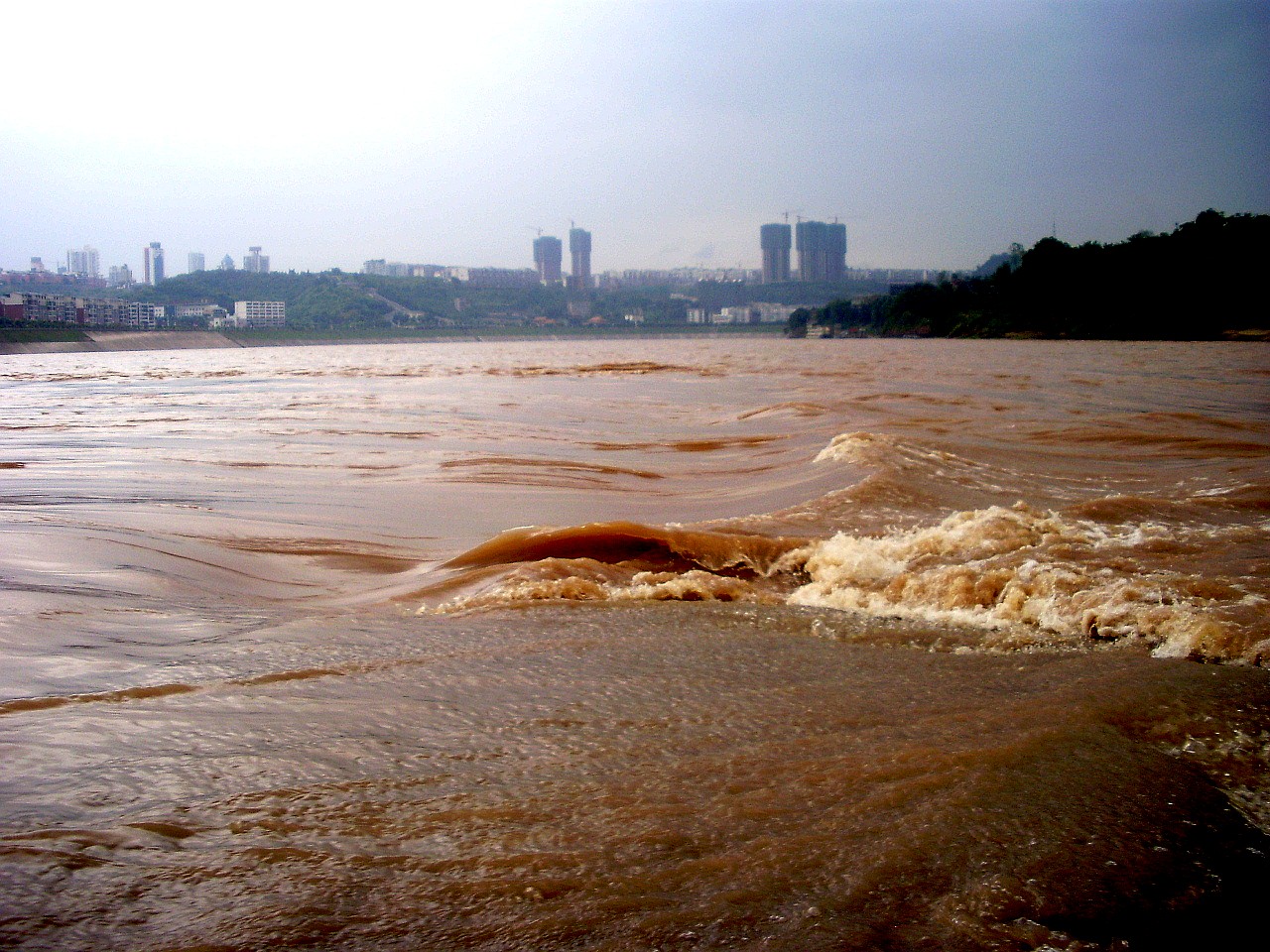 P8250032_.jpg