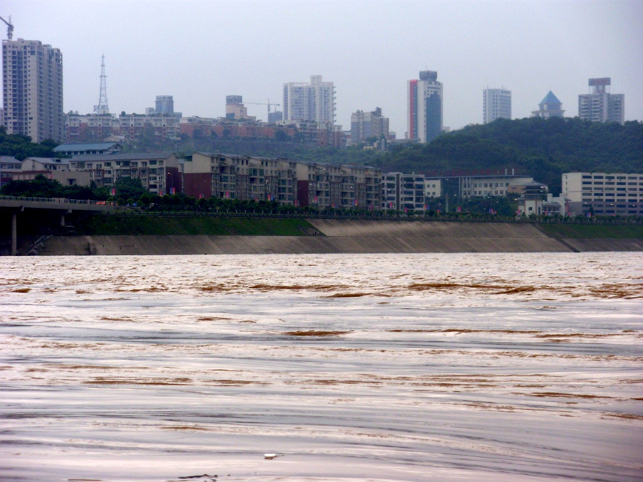 P8250039_.jpg