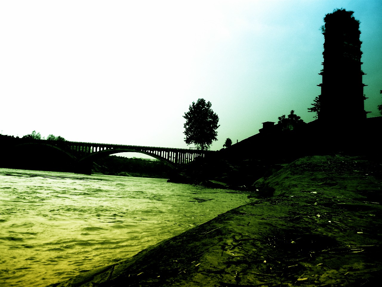 P8250040_.jpg