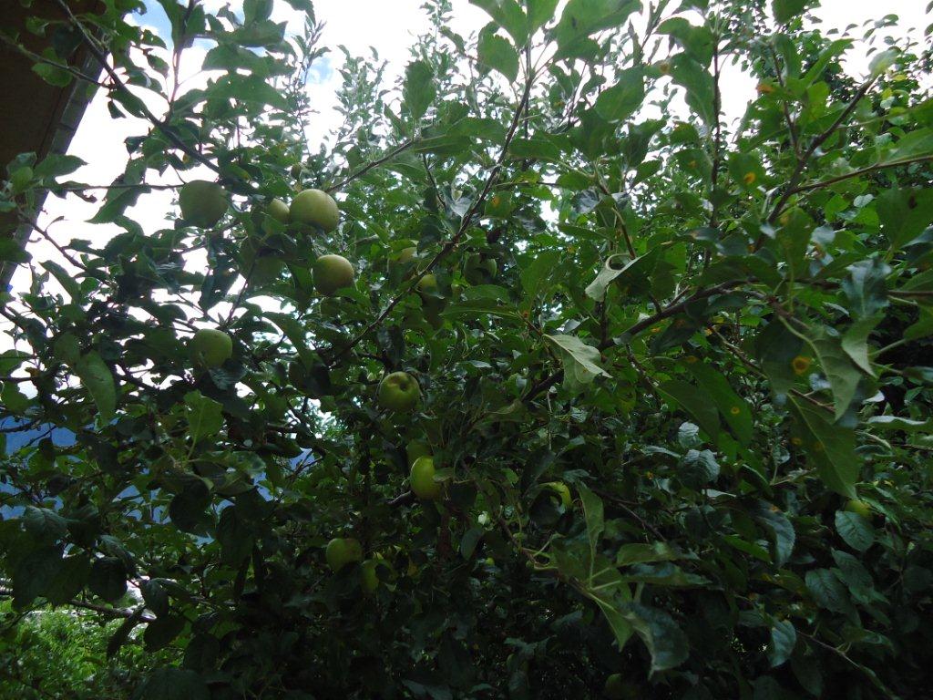 DSC02575.jpg