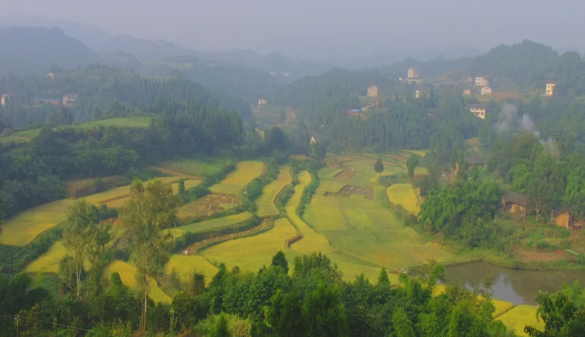 DSCF5872.jpg