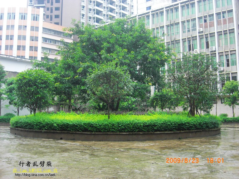 CIMG3487.jpg