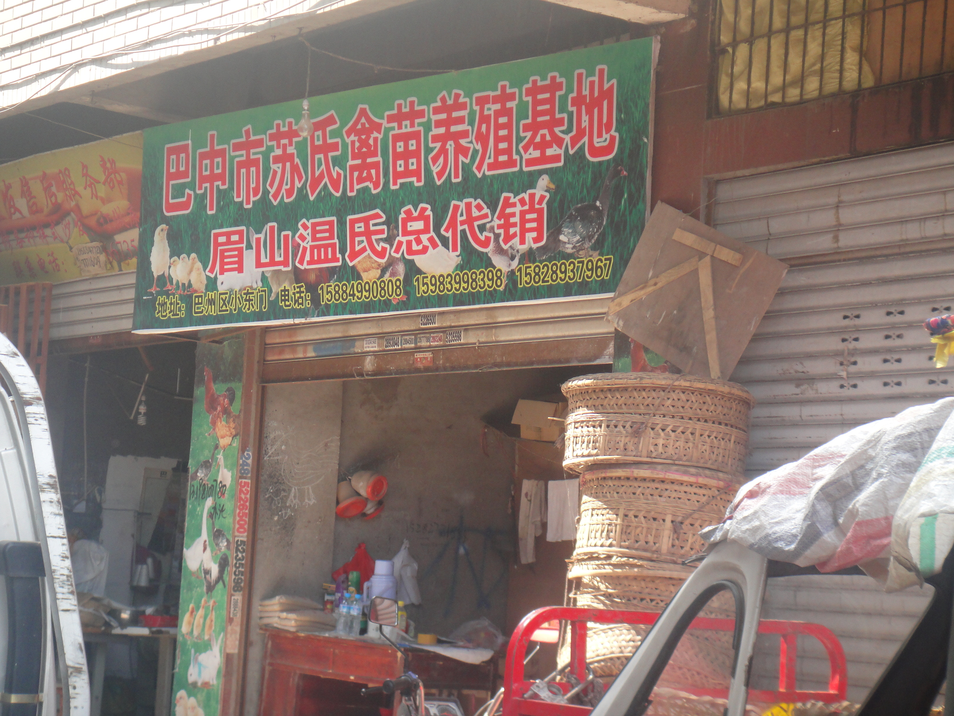 DSC06245.JPG