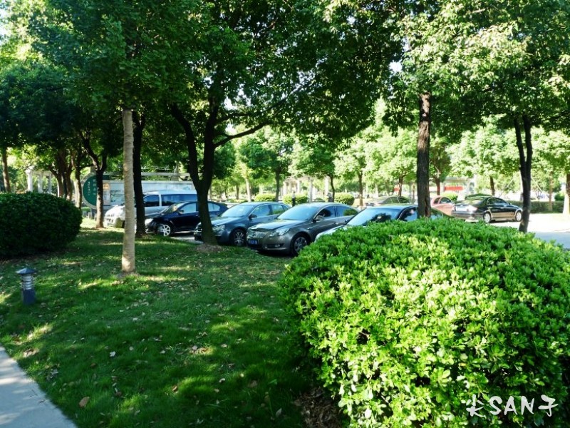 conew_p1000029_conew2.jpg