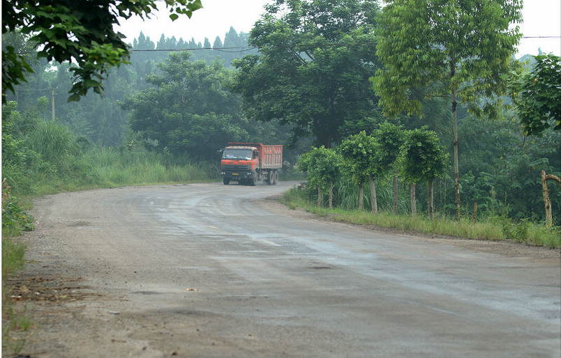 DSC_0029.jpg