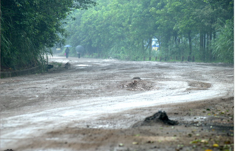 DSC_0040.jpg