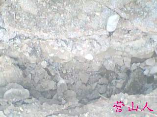 IMG0513A.jpg