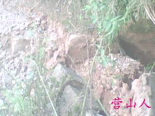 IMG0514A.jpg