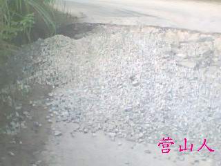 IMG0516A.jpg