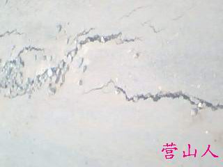 IMG0518A.jpg