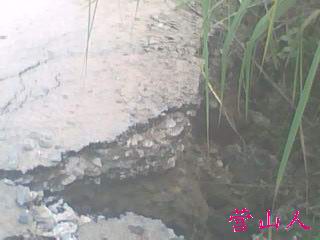 IMG0522A.jpg