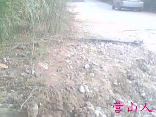IMG0521A.jpg
