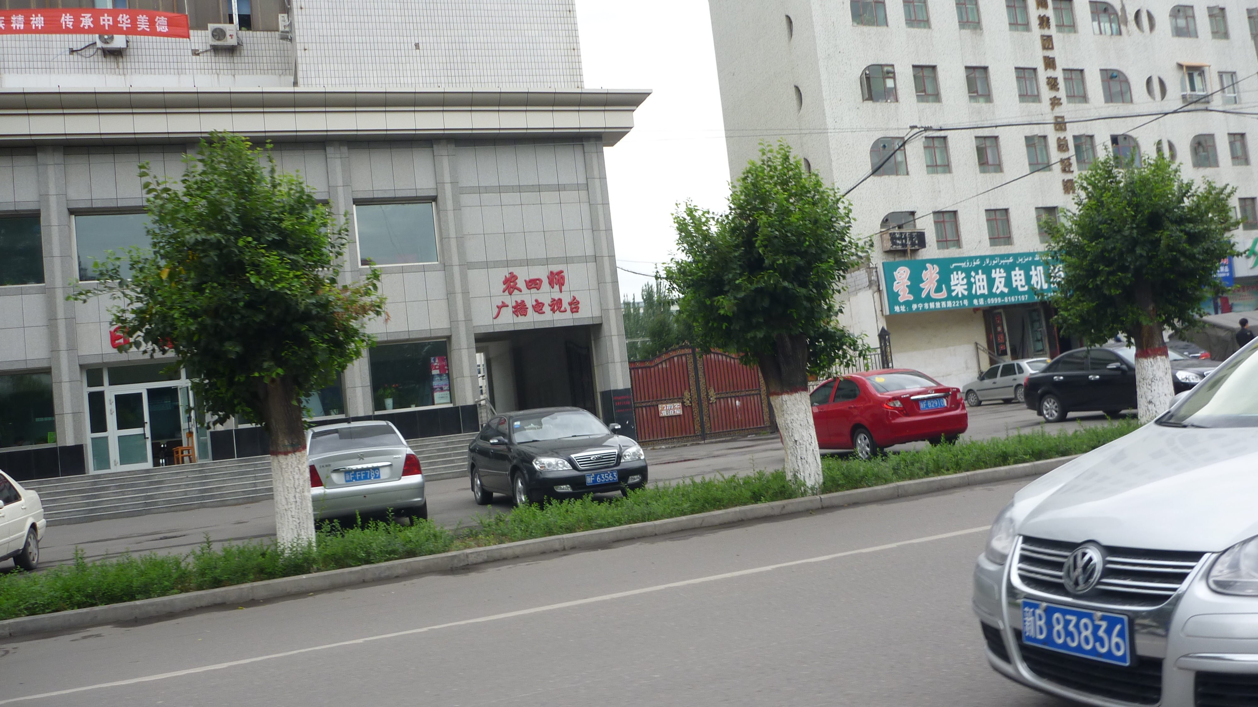 P1040189.JPG