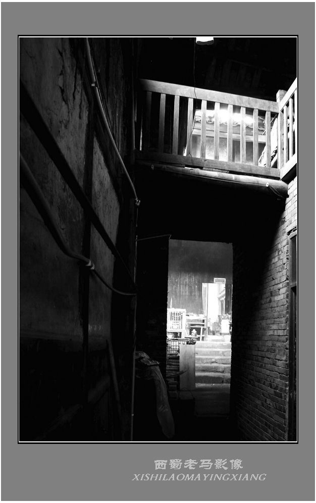 IMG_0269zX.jpg