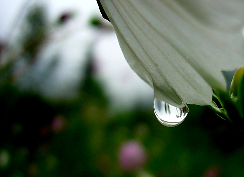 DSCN1567.JPG