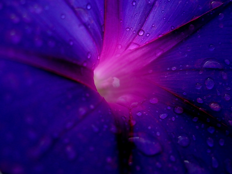 DSCN1539.JPG