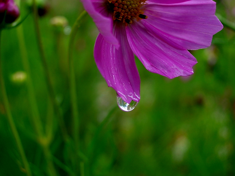 DSCN1585.JPG