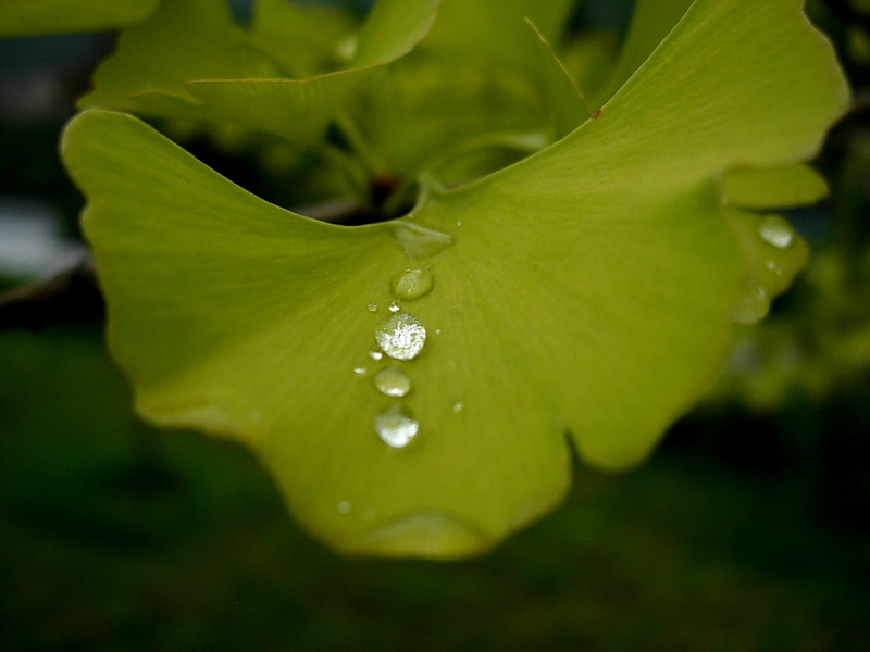 DSCN1609.JPG