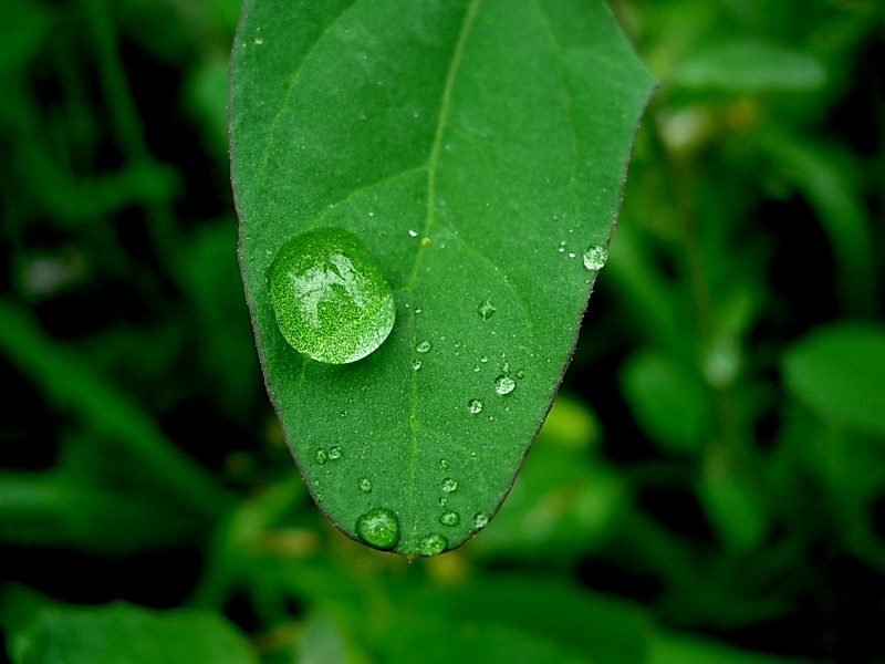 DSCN1493.JPG