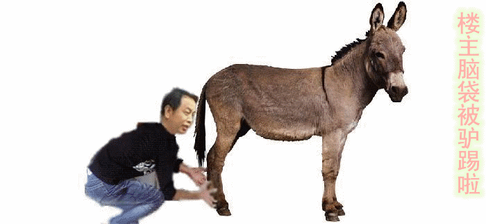 1283559661396.gif